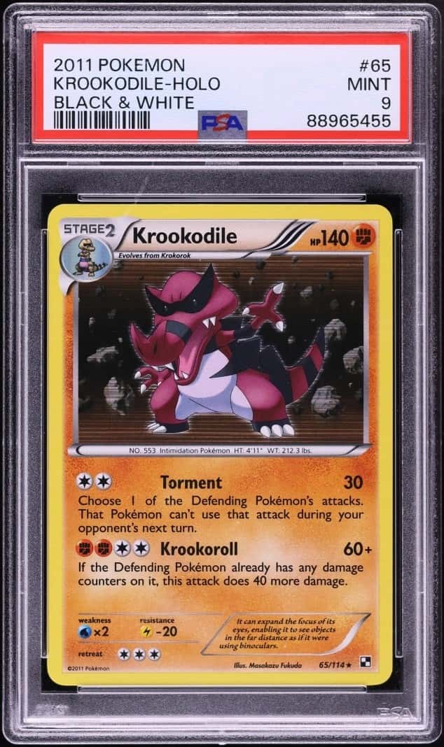 Krookodile