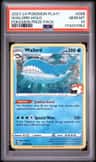 Wailord