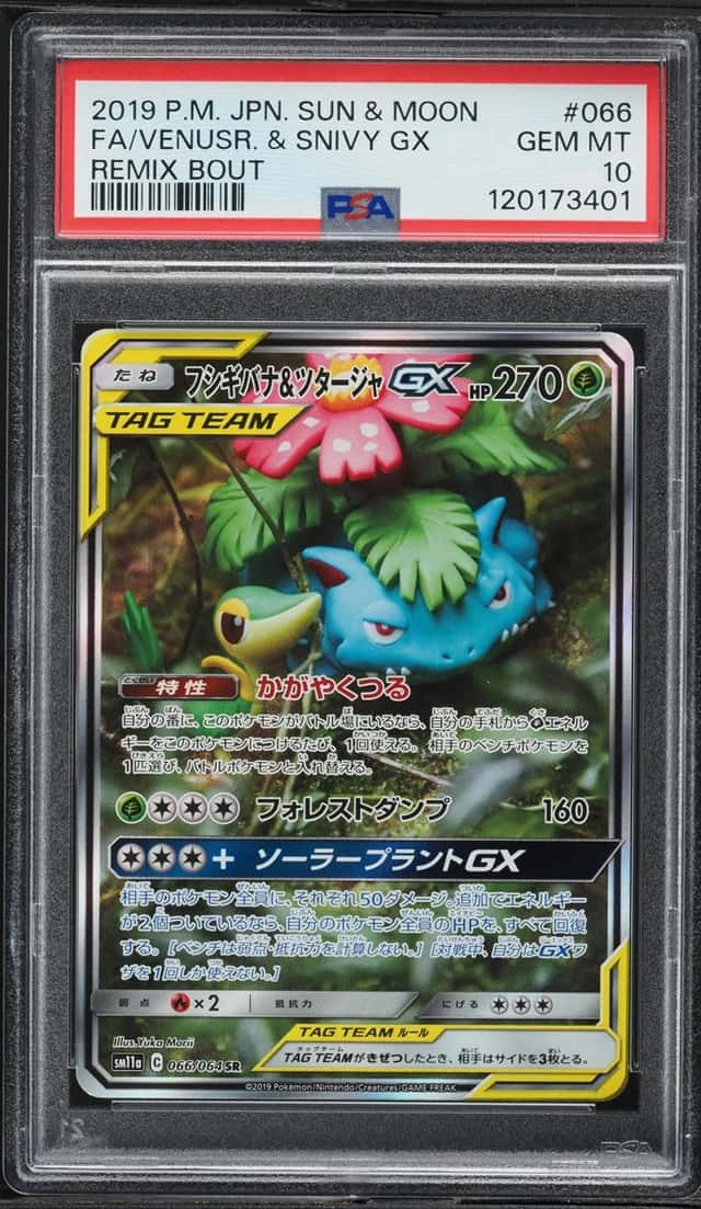 Venusaur & Snivy GX