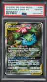 Venusaur & Snivy Gx