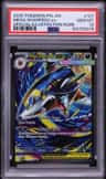 Mega Sharpedo Ex
