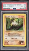 Brock'S Mankey