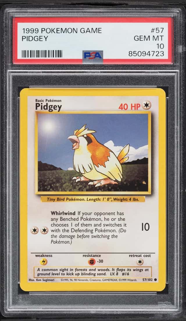Pidgey