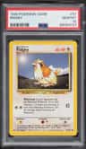 Pidgey