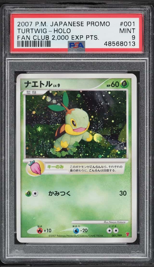 Turtwig