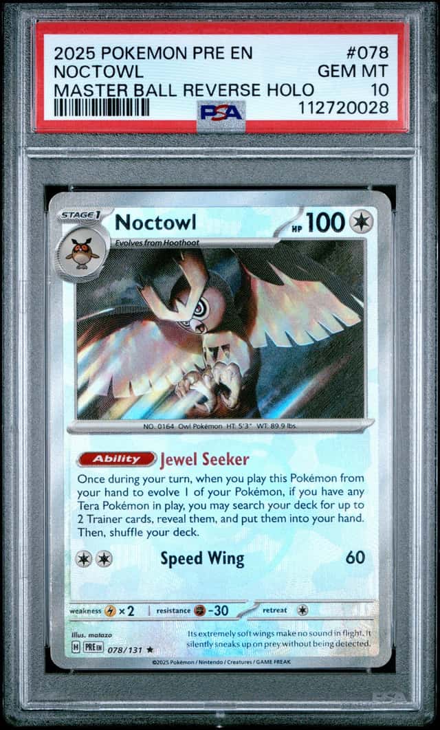 Noctowl
