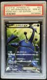Heracross Ex