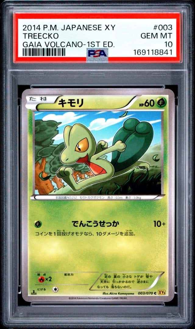 Treecko