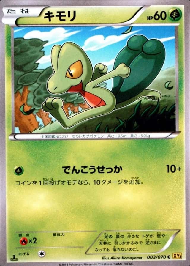1st Edition