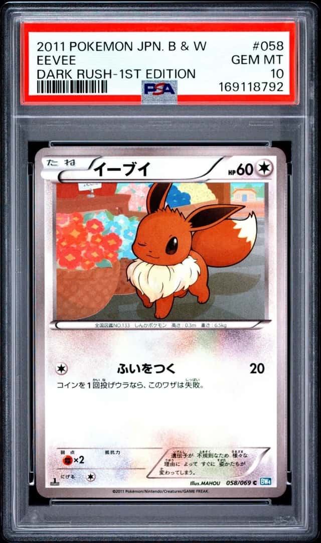 Eevee