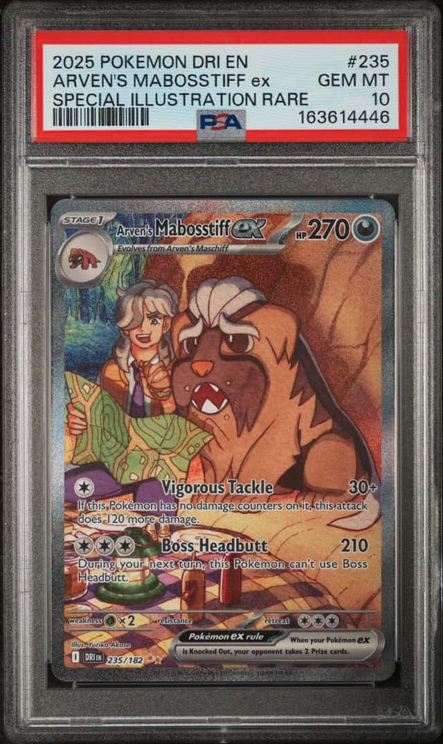ARVEN'S MABOSSTIFF ex