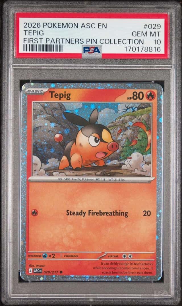 Tepig