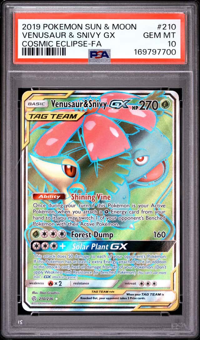Venusaur & Snivy GX