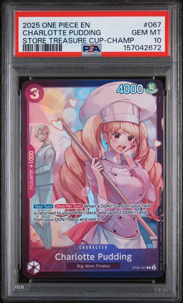 Charlotte Pudding