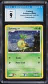 Turtwig