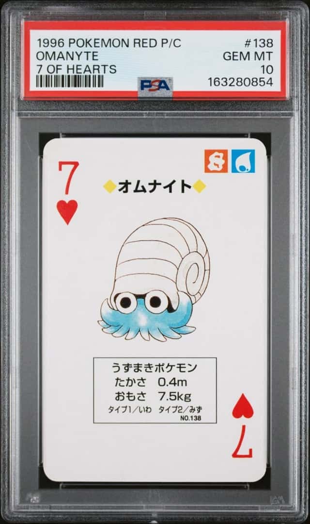 Omanyte