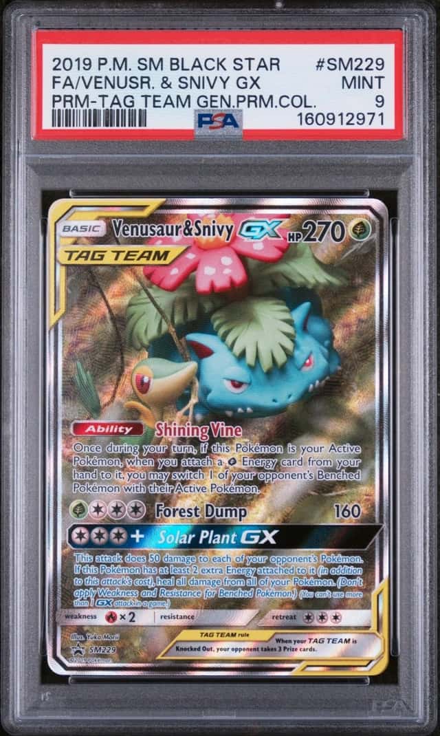 Venusaur & Snivy GX
