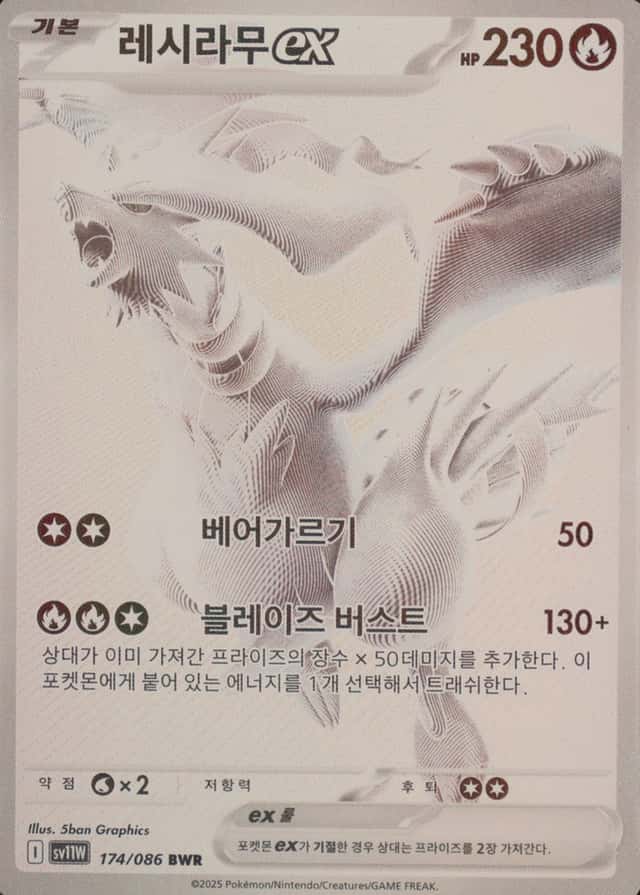 Base / no variant