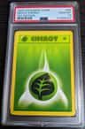 Grass Energy