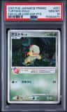 Turtwig