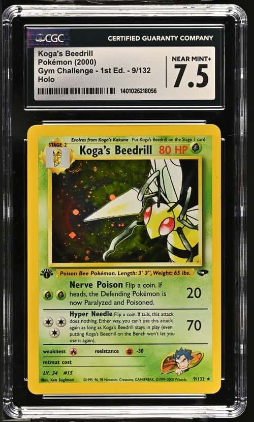 Koga's Beedrill