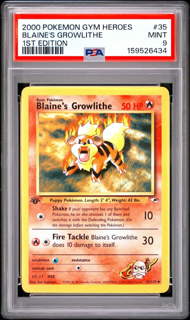 Blaine's Growlithe