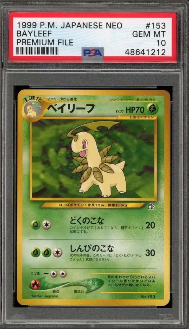Bayleef