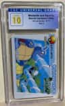 Wartortle And Squirtle
