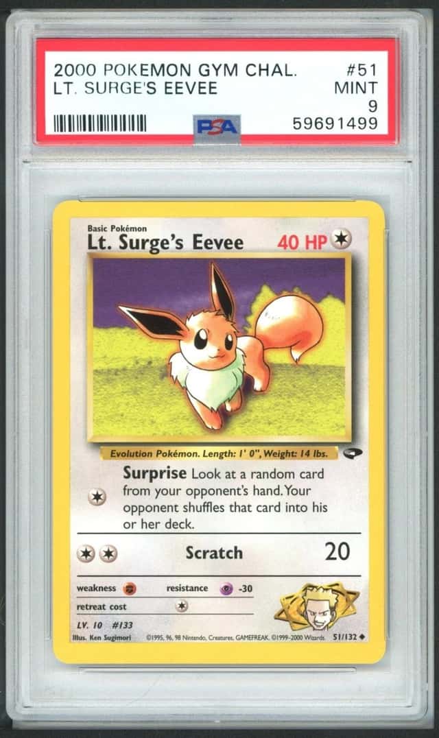 Lt. Surge's Eevee
