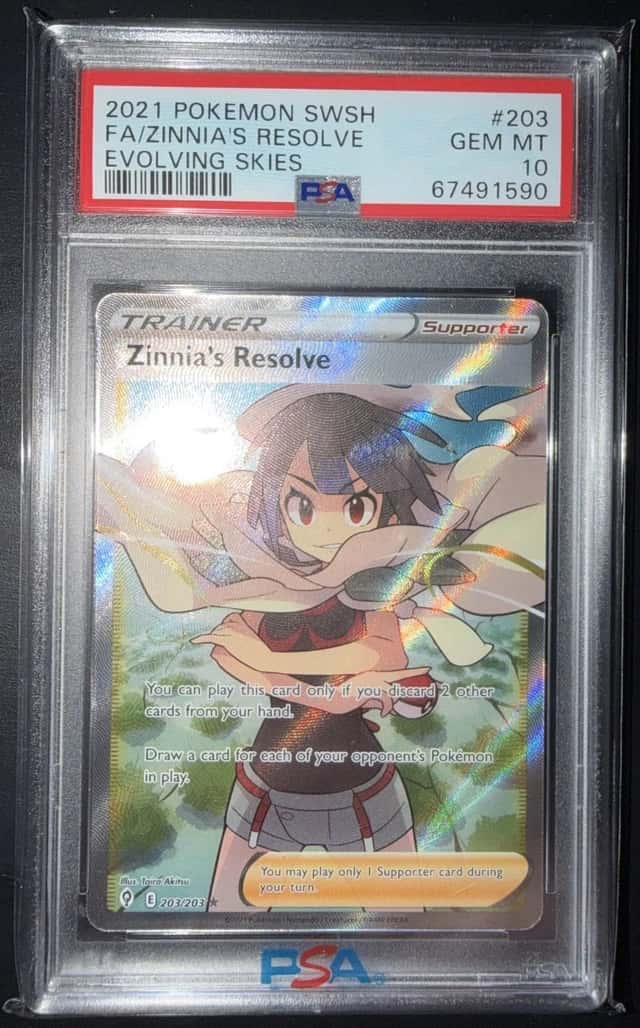 Zinnia's Resolve
