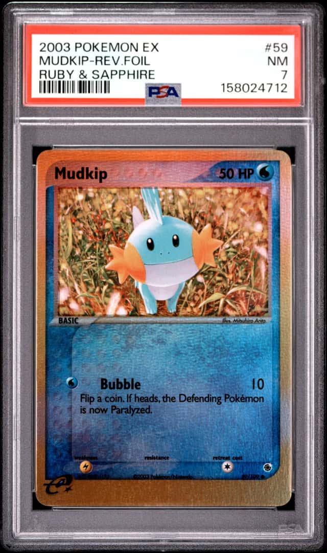 Mudkip