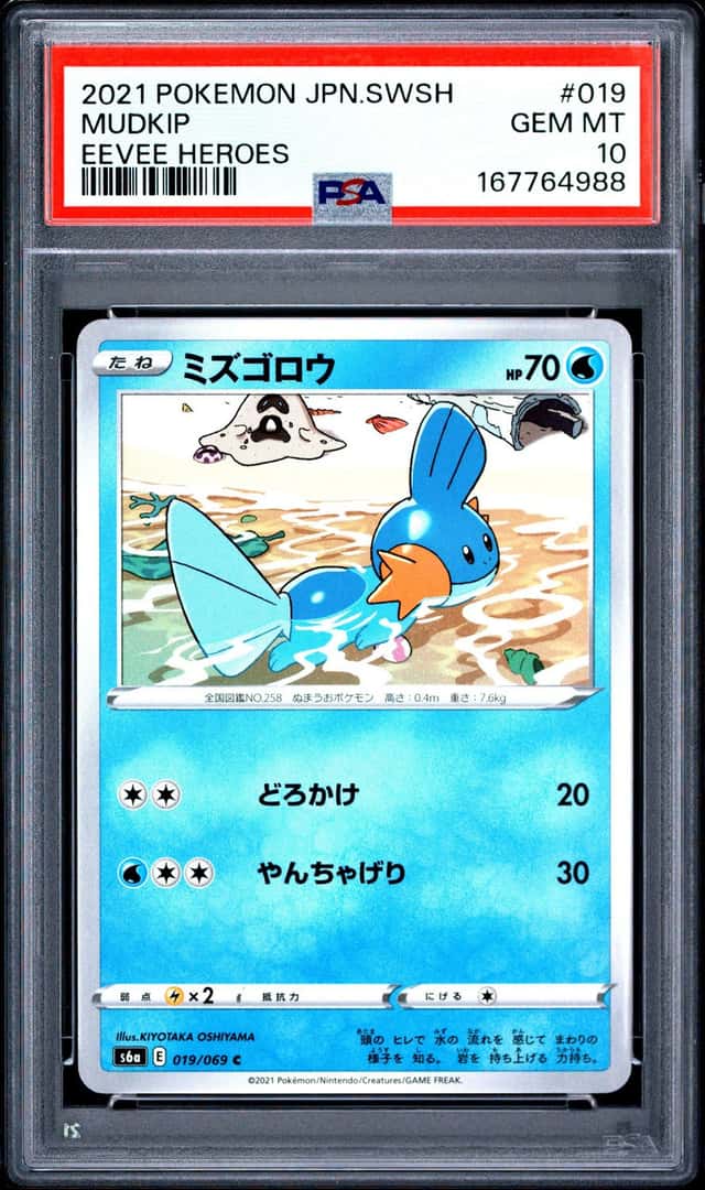 Mudkip
