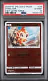 Chimchar
