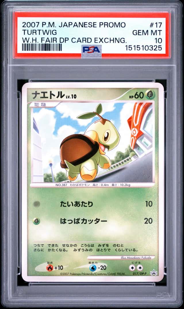 Turtwig