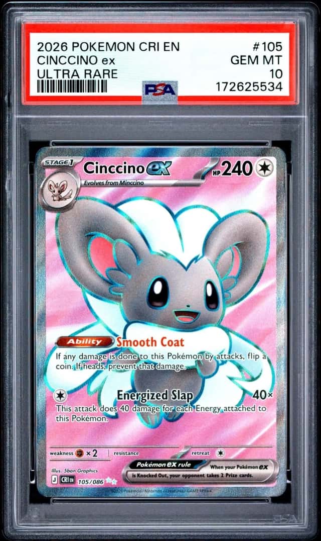 Cinccino ex