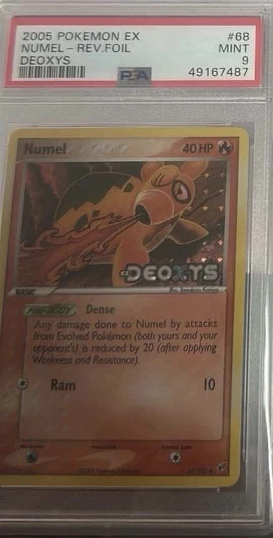Numel