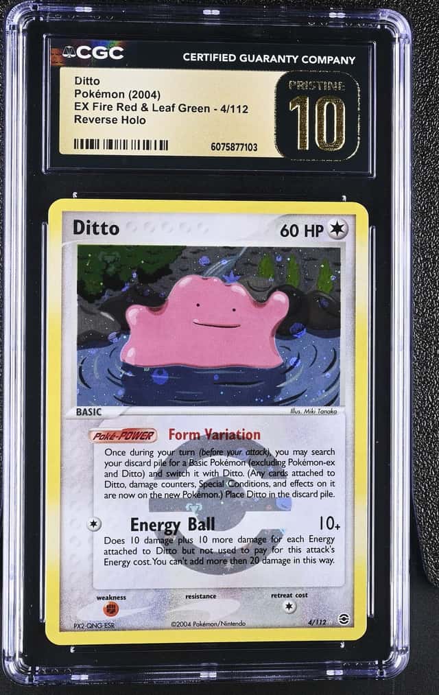 Ditto