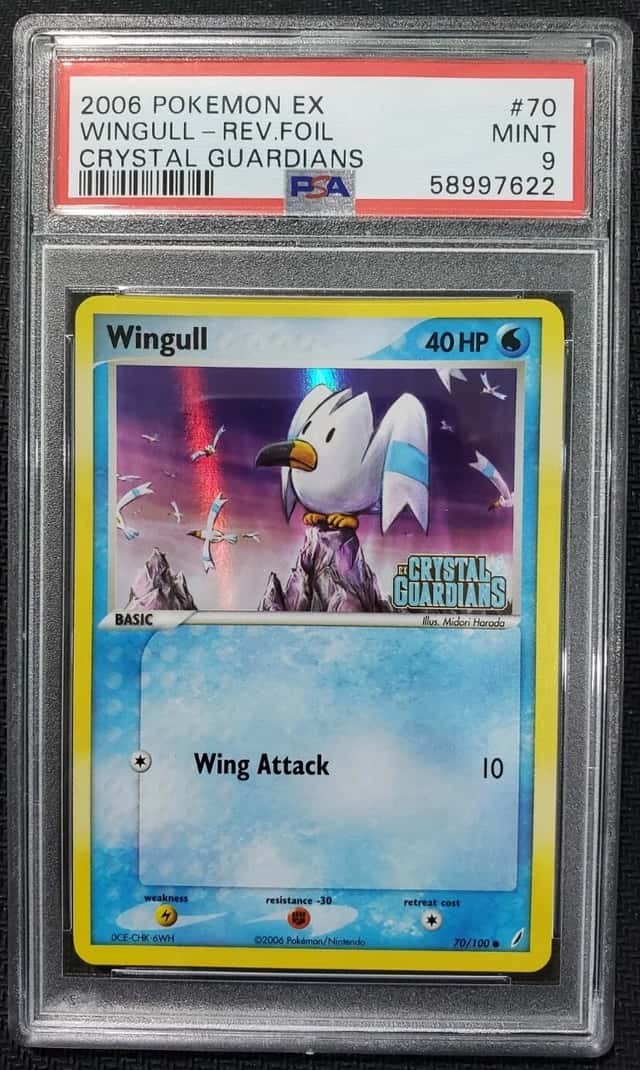 Wingull