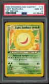 Light Sunflora
