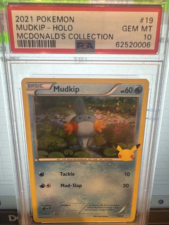 Mudkip