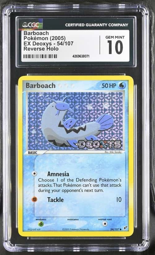 Barboach