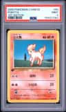 Ponyta
