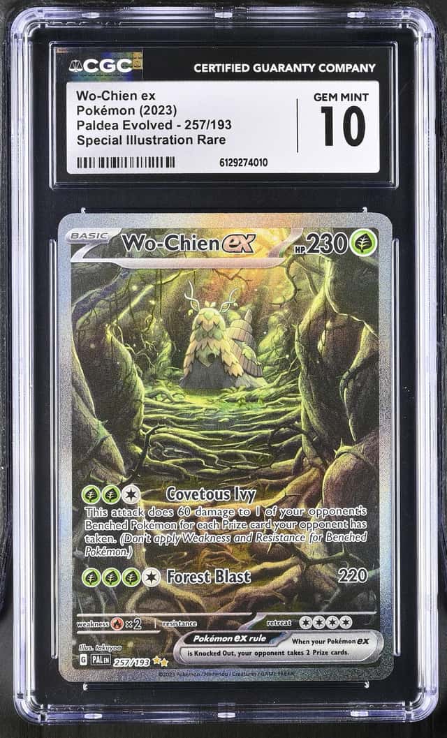 WO-CHIEN ex