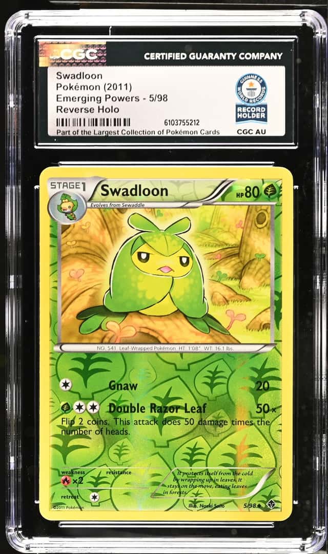 Swadloon