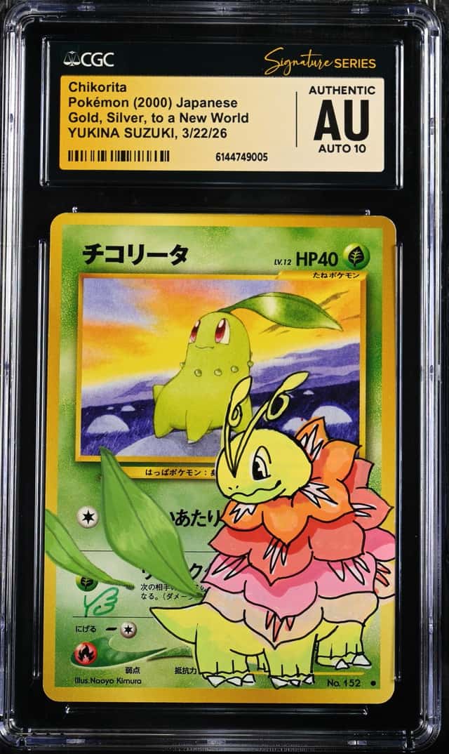Chikorita