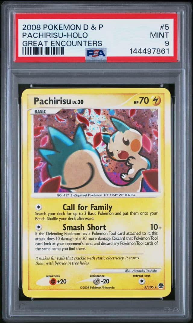 Pachirisu