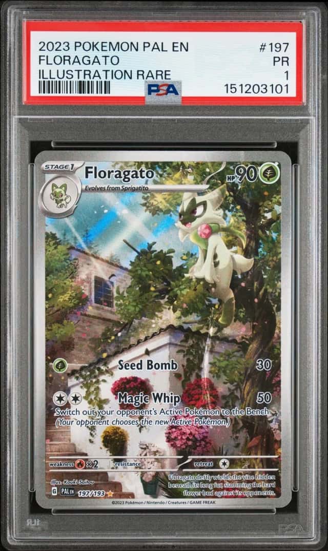 Floragato