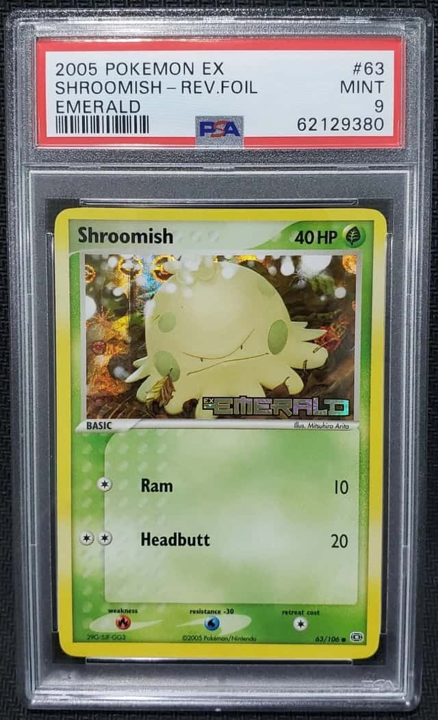 Shroomish