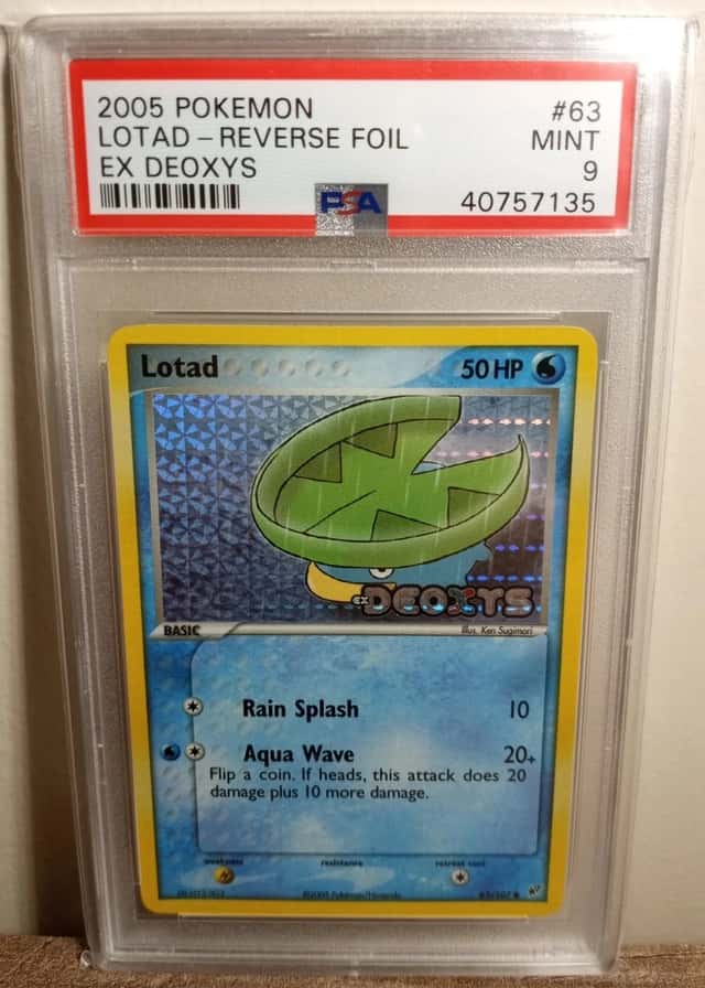 Lotad