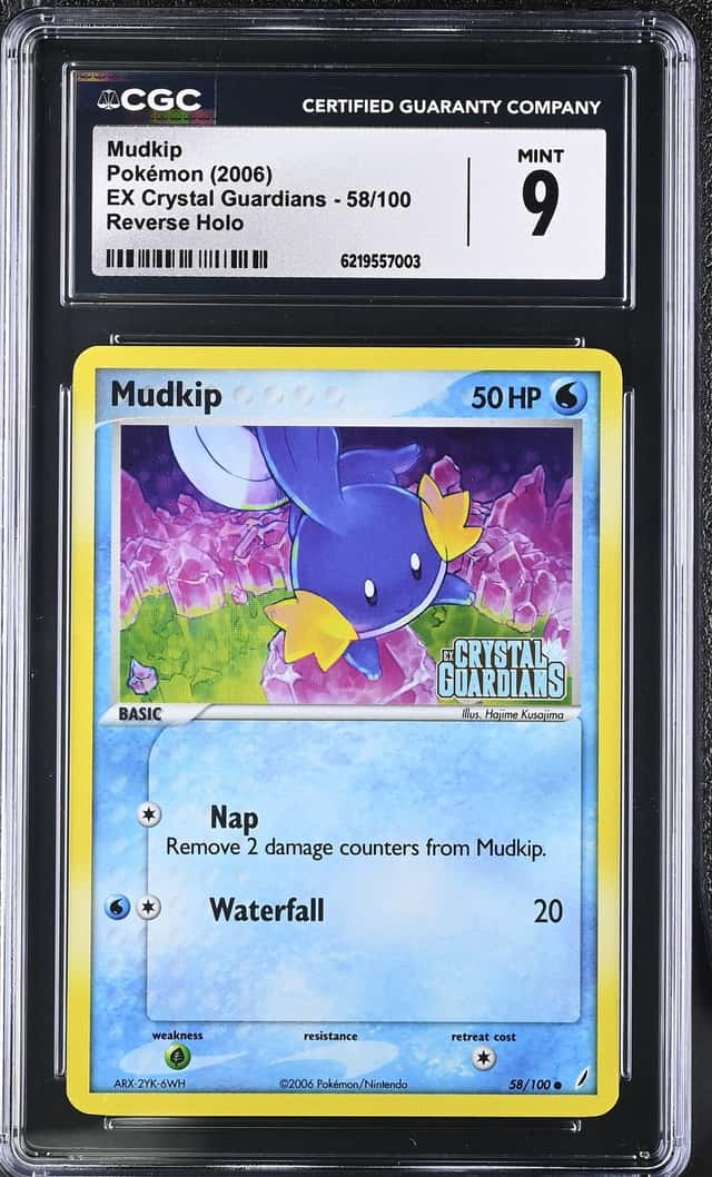 Mudkip